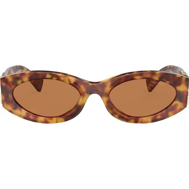 Miu Miu 11WS - Havana/Brown Lenses
