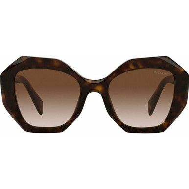 PR16WS - Tort/Brown Gradient Lenses