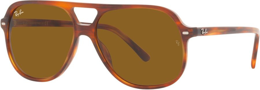 Ray-Ban Bill RB2198