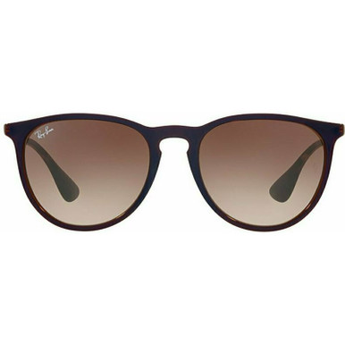 /ray-ban-sunglasses/erika-classic-rb4171-417163151354