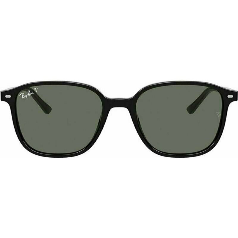 Ray-Ban Leonard RB2193