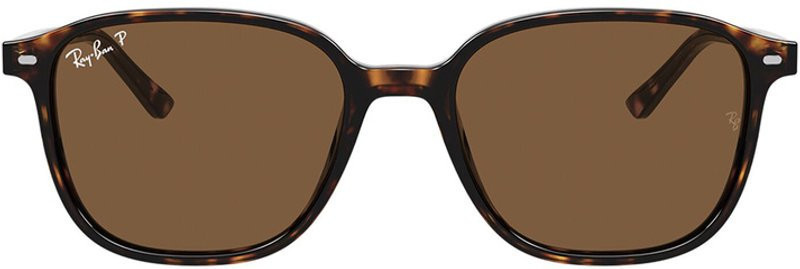 Ray-Ban Leonard RB2193