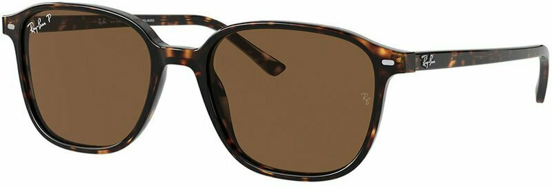 Ray-Ban Leonard RB2193