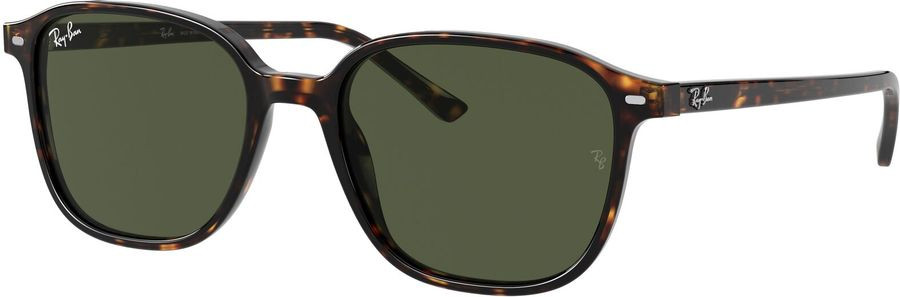 Ray-Ban Leonard RB2193