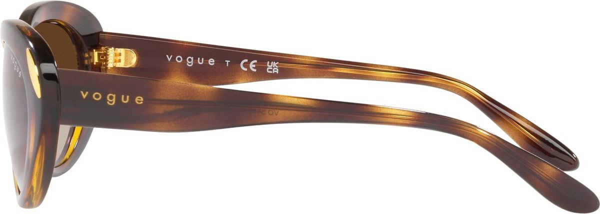 Vogue Eyewear VO5456S