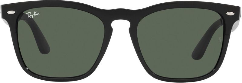 Ray-Ban Steve RB4487