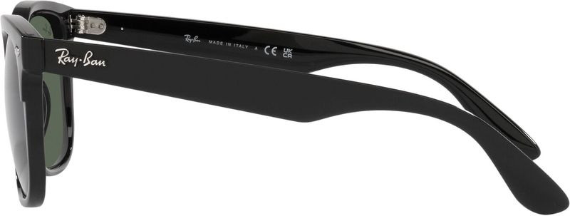 Ray-Ban Steve RB4487