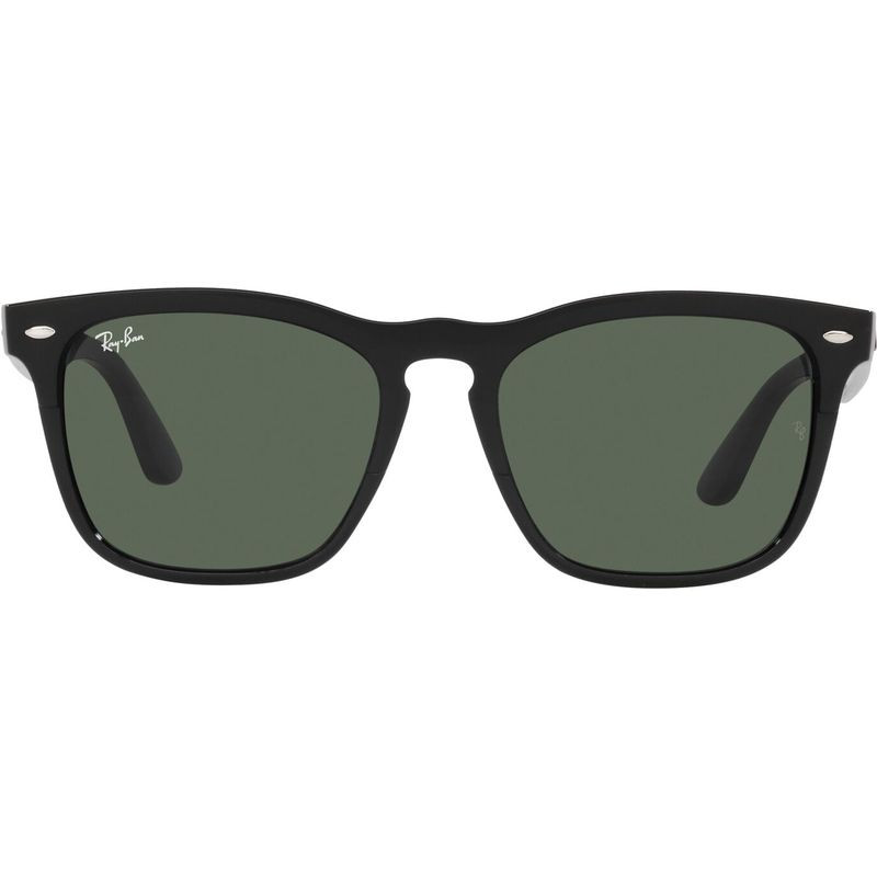 Ray-Ban Steve RB4487
