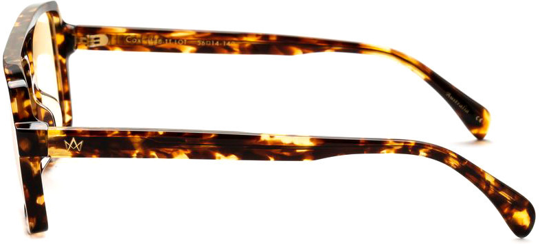AM Eyewear Cox