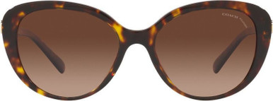 HC8348U - Dark Tortoise/Brown Gradient Polarised Lenses