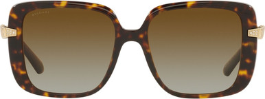 Havana/Brown Gradient Polarised Lenses