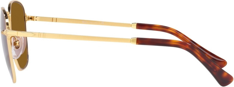 Persol PO2490S