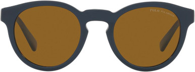 Shiny Navy Blue/Brown Polarised Lenses