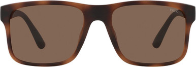 Matte Brown Havana/Brown Lenses