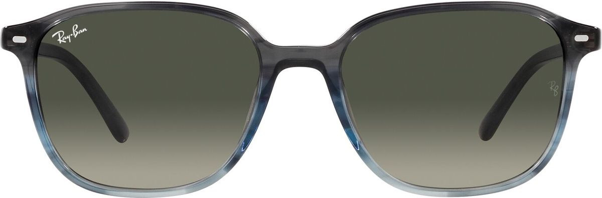 Ray-Ban Leonard RB2193