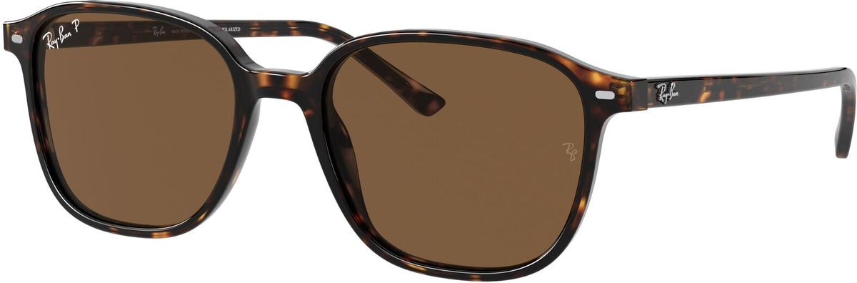 Ray-Ban Leonard RB2193