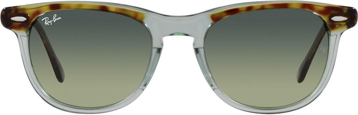 Ray-Ban Eagleeye RB2398