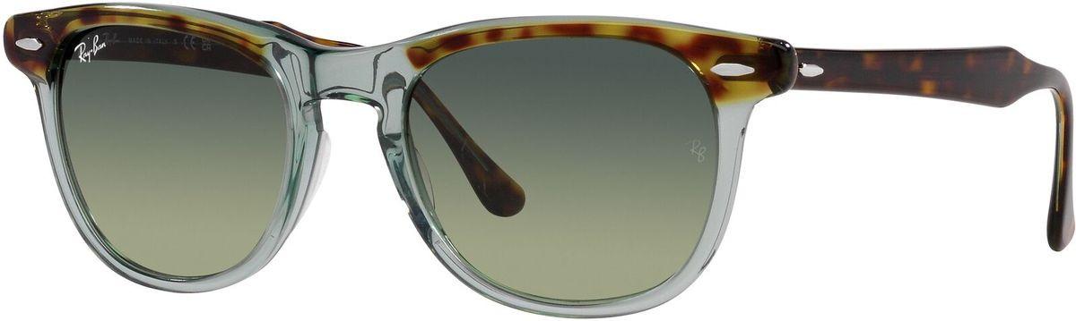 Ray-Ban Eagleeye RB2398