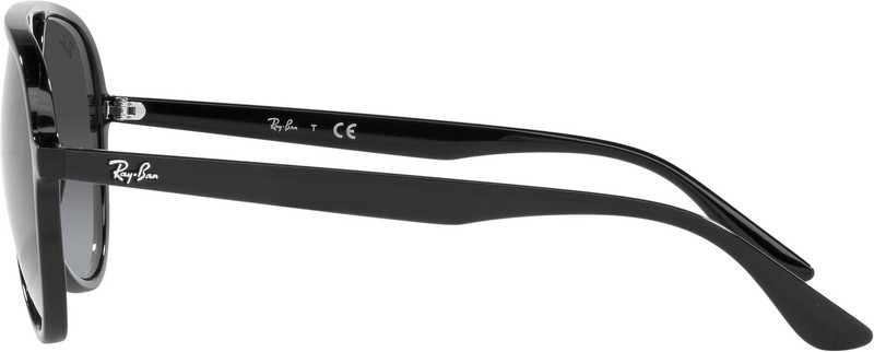 Ray-Ban RB4376