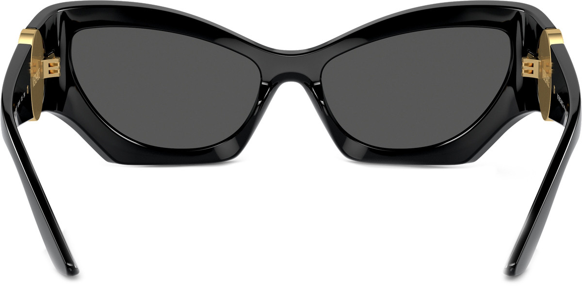 Versace VE4450 Cat Eye Sunglasses