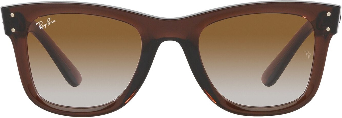 Ray-Ban Wayfarer Reverse RBR0502S