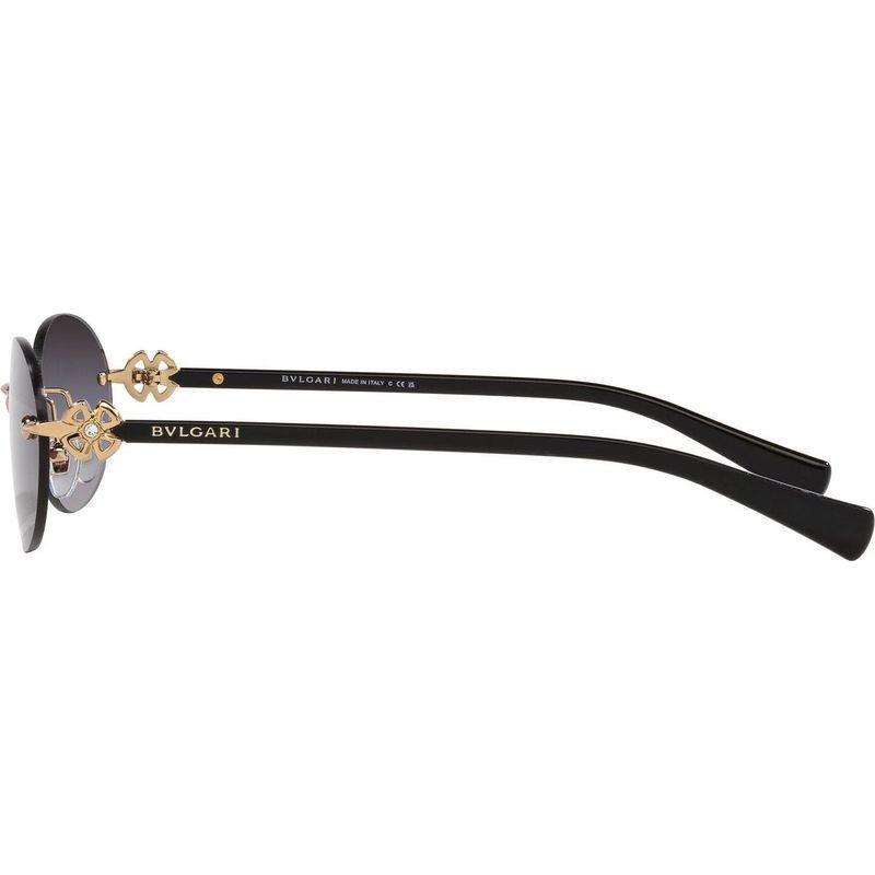 Bvlgari BV6191BD