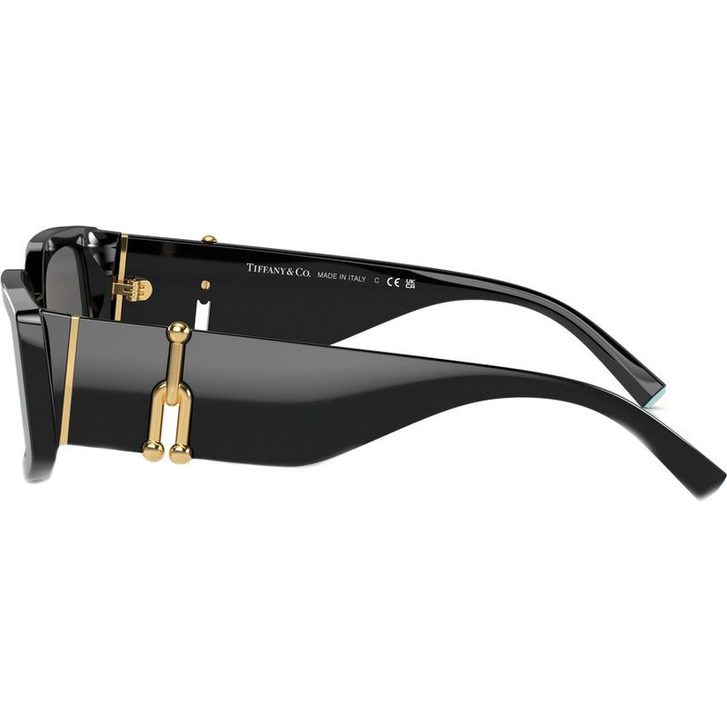 Tiffany & Co. TF4208U