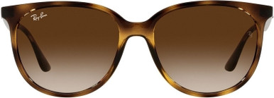 RB4378 - Havana/Brown Gradient Lenses