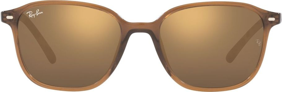 Ray-Ban Leonard RB2193