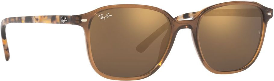 Ray-Ban Leonard RB2193