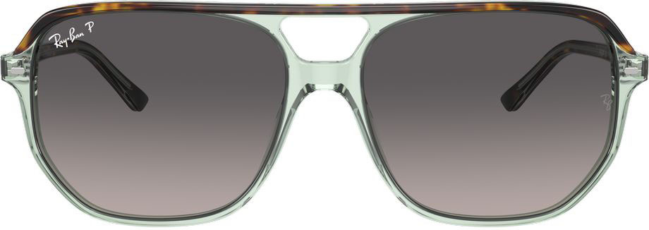 Ray-Ban Bill One RB2205