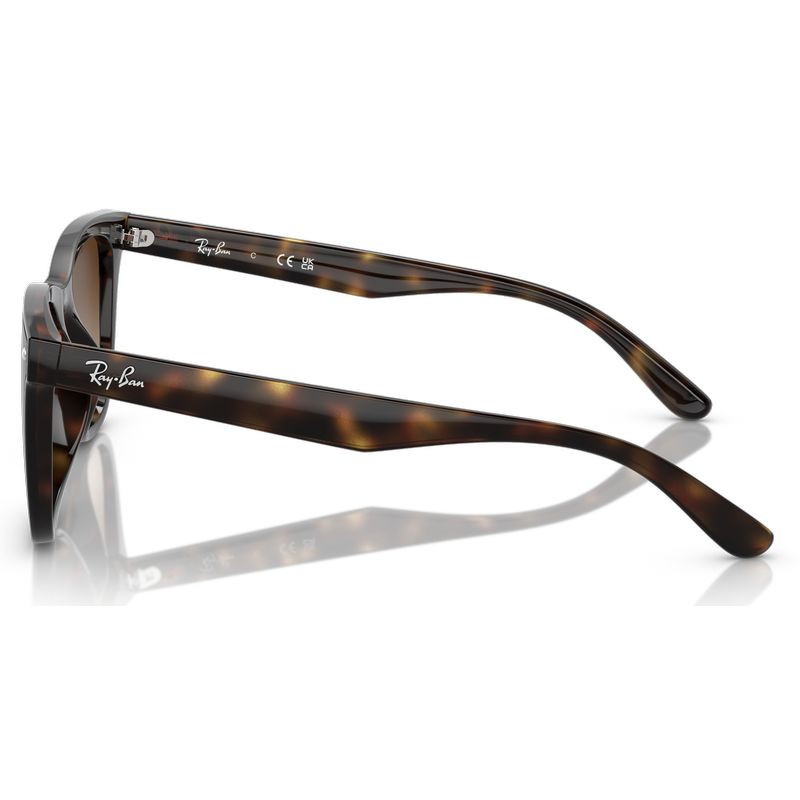 Ray-Ban RB4420