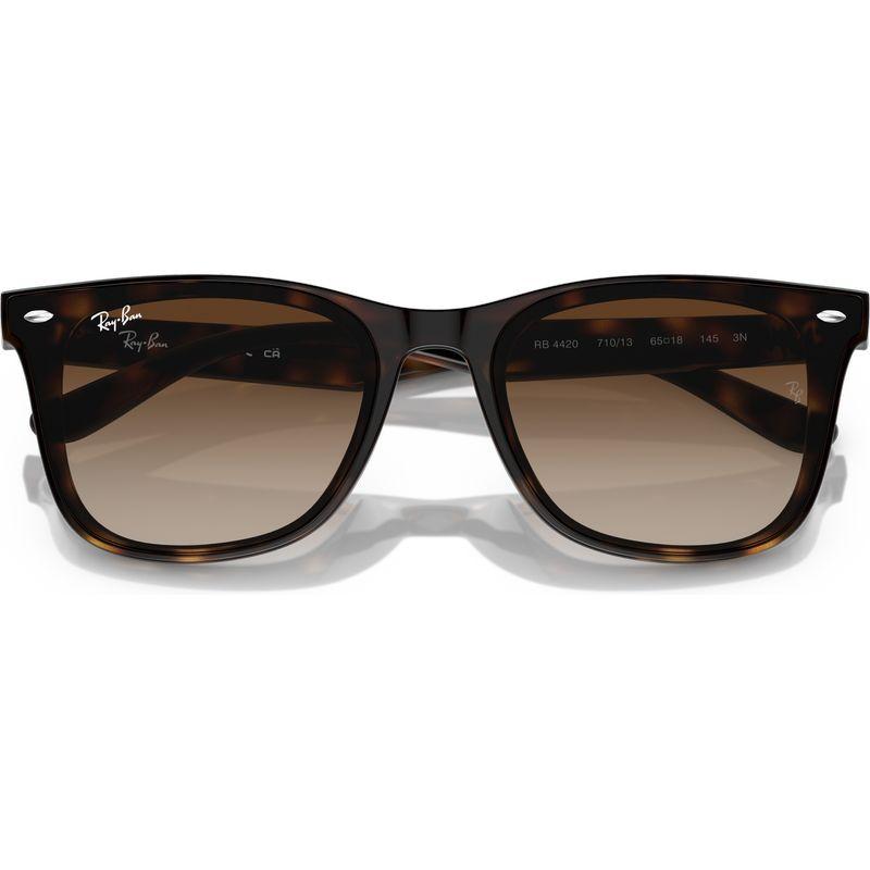 Ray-Ban RB4420