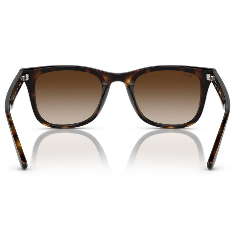 Ray-Ban RB4420