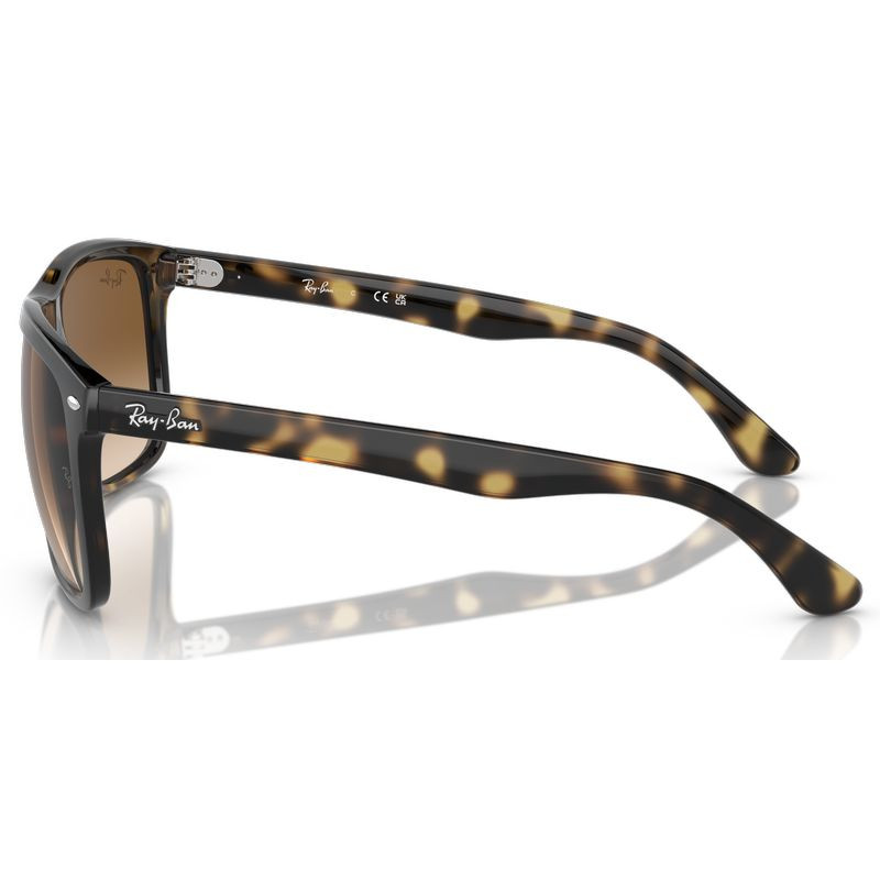Ray-Ban Boyfriend Two RB4547