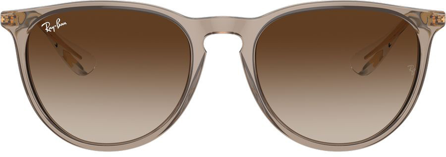 Ray-Ban Erika Classic RB4171F