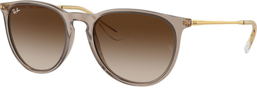 Ray-Ban Erika Classic RB4171F