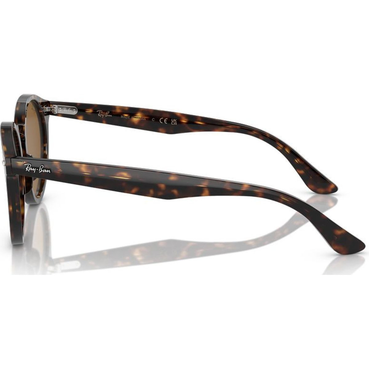 Ray-Ban Larry RB7680S