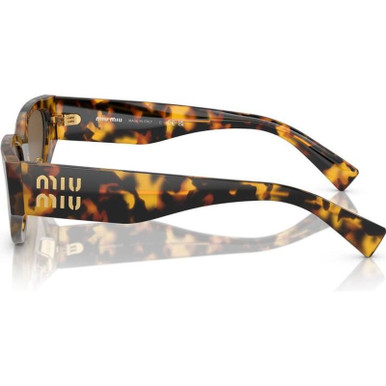 工芸品 MIU MIU Shop the Miu Miu MU03ZS Sunglasses Honey Havana/Dark Brown