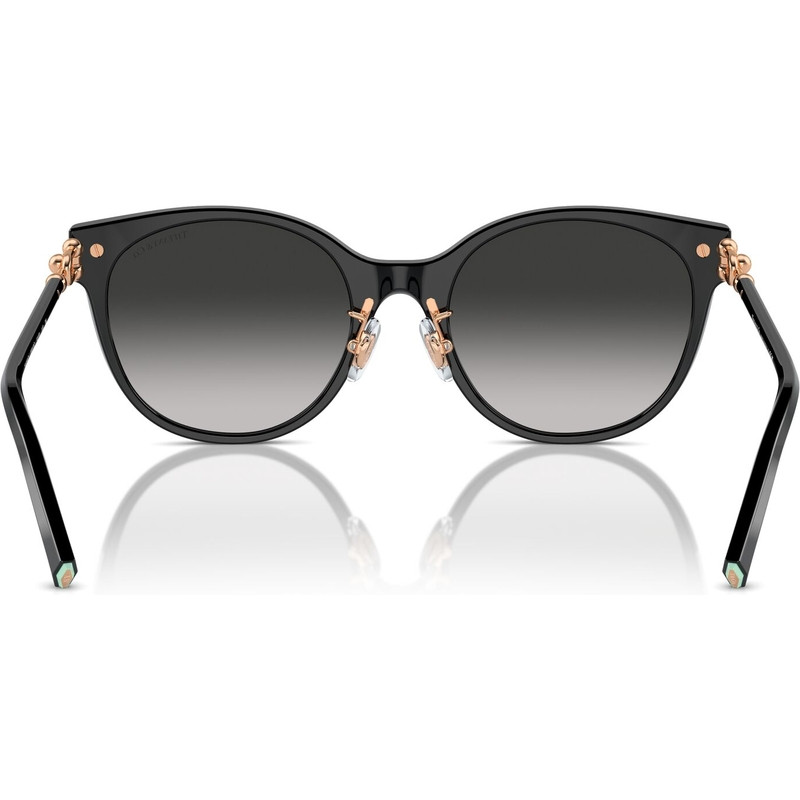 Tiffany & Co. TF4223D