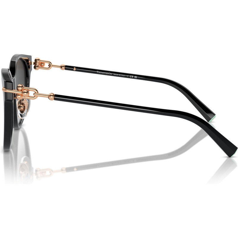 Tiffany & Co. TF4223D