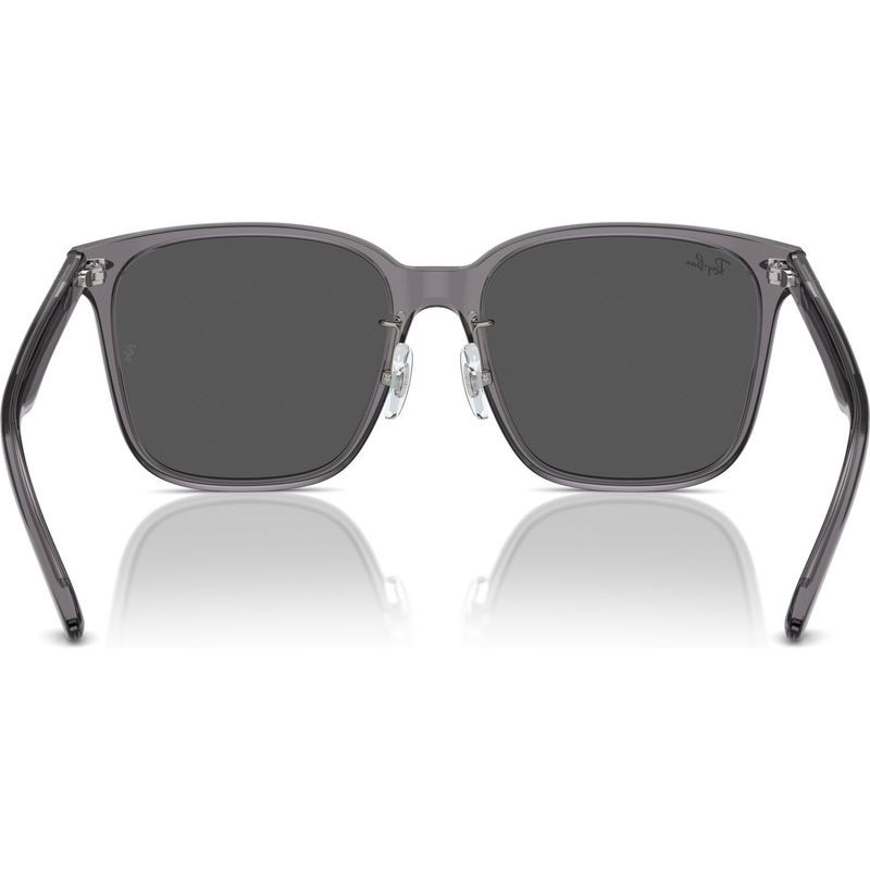 Ray-Ban RB2206D