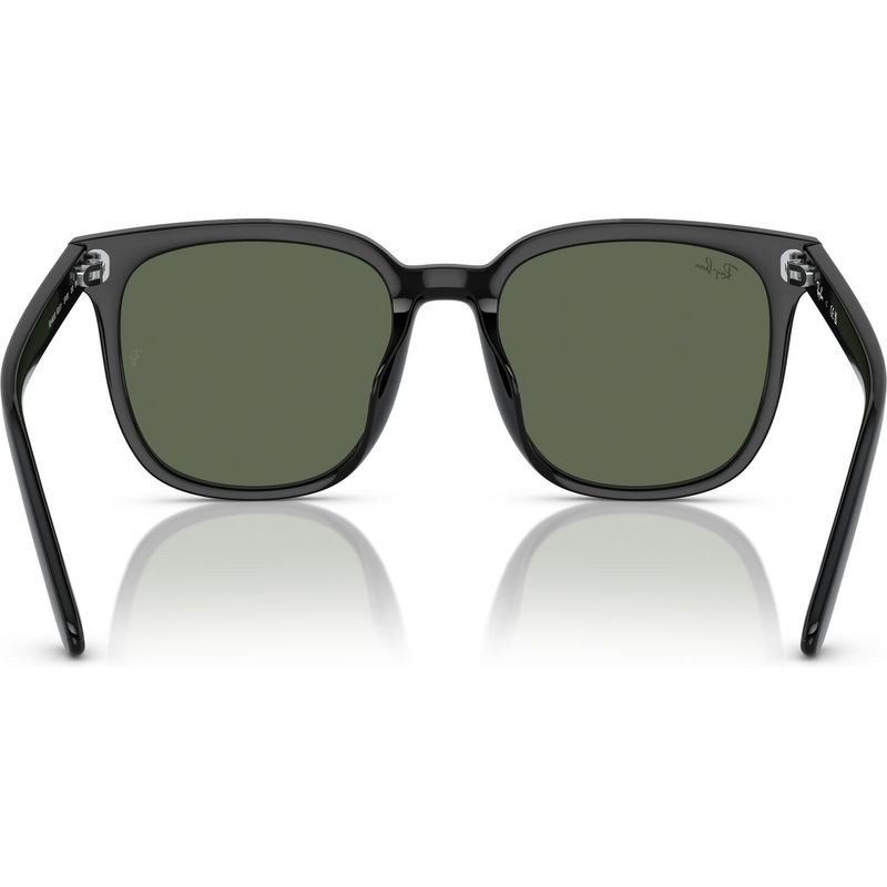 Ray-Ban RB4401D