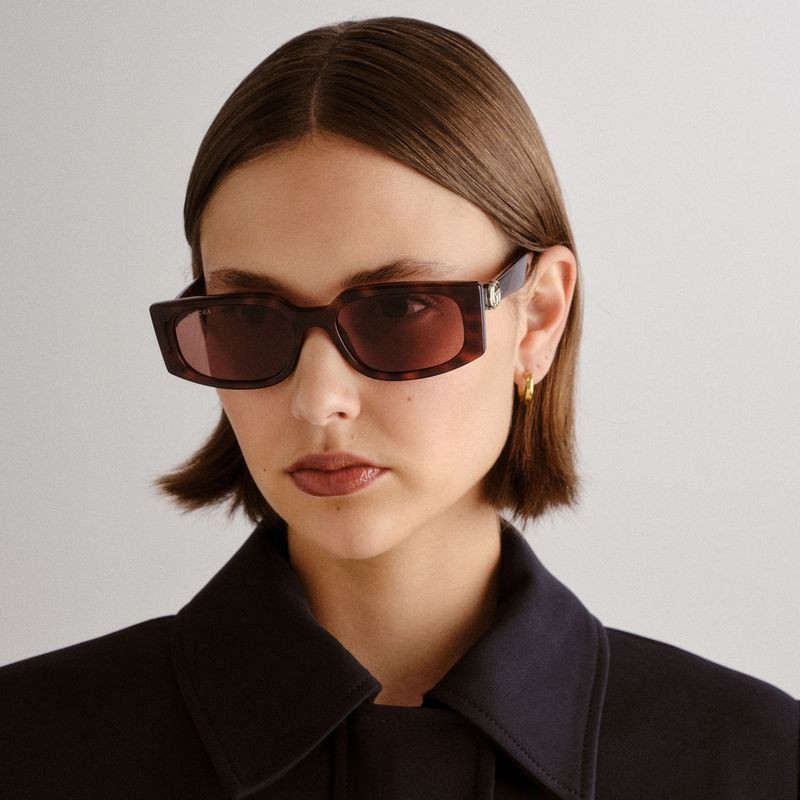 GUCCI Gg1534s Havana/Brown Lenses