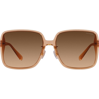 Coach HC8368D - Transparent Brown/Brown Gradient Lenses