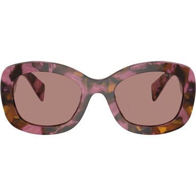 Prada PRA13S - Tortoise Cognac Begonia/Light Brown Lenses