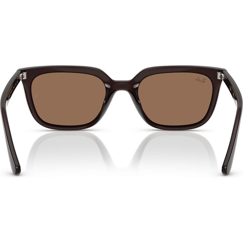 Ray-Ban RB4439D