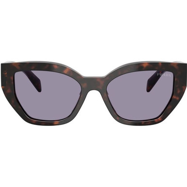 Prada PRA09S - Root Tortoise/Grey Lenses