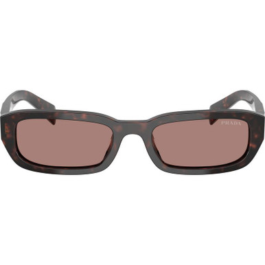 Prada-PRB06S-Root-Tortoise-