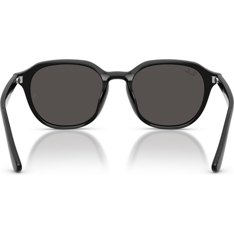 Ray-Ban RB4459D